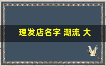 理发店名字 潮流 大气招财免费_美发店招财吉祥名
